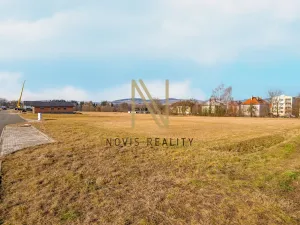 Prodej pozemku pro bydlení, Janovice nad Úhlavou, 798 m2