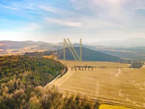 Prodej pozemku pro bydlení, Janovice nad Úhlavou, 798 m2