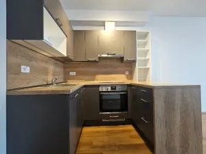 Pronájem bytu 2+kk, Praha, Kryšpínova, 59 m2