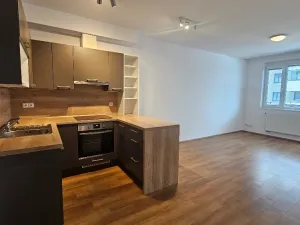 Pronájem bytu 2+kk, Praha, Kryšpínova, 59 m2