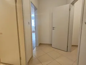 Pronájem bytu 2+kk, Praha, Kryšpínova, 59 m2