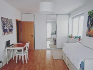 Pronájem bytu 1+kk, Hostivice, Žitná, 46 m2