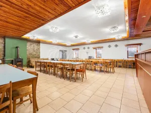 Prodej komerční nemovitosti, Česká Skalice - Spyta, 392 m2