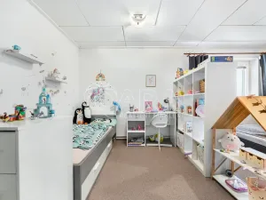 Prodej komerční nemovitosti, Česká Skalice - Spyta, 392 m2