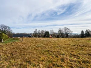 Prodej pozemku pro bydlení, Orlické Záhoří, 4018 m2