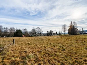 Prodej pozemku pro bydlení, Orlické Záhoří, 4018 m2