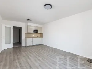 Pronájem bytu 1+kk, Praha - Smíchov, Pod Barvířkou, 36 m2