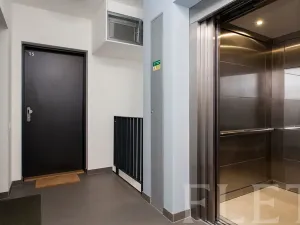 Pronájem bytu 1+kk, Praha - Žižkov, Olgy Havlové, 27 m2