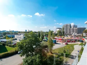 Pronájem bytu 1+kk, Praha - Žižkov, Olgy Havlové, 27 m2