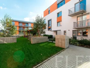 Pronájem bytu 1+kk, Praha - Žižkov, Olgy Havlové, 27 m2