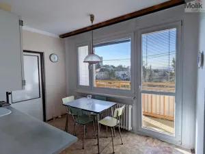 Prodej bytu 3+1, Teplice - Trnovany, Gagarinova, 70 m2