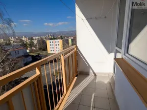Prodej bytu 3+1, Teplice - Trnovany, Gagarinova, 70 m2