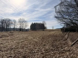 Prodej pozemku pro bydlení, Chodský Újezd - Žďár, 2889 m2