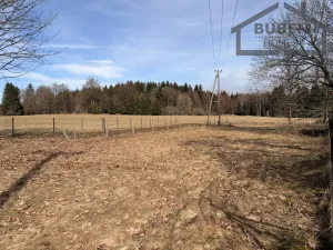 Prodej pozemku pro bydlení, Chodský Újezd - Žďár, 2889 m2