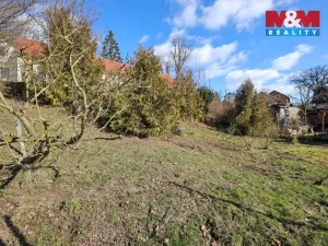 Pronájem rodinného domu, Česká Bělá, 75 m2