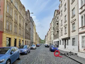 Pronájem bytu 1+kk, Praha - Nusle, Oldřichova, 19 m2