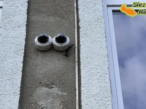 Pronájem bytu 1+kk, Ostrava, Palackého, 26 m2