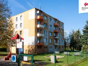 Pronájem bytu 1+1, Jihlava, Březinova, 42 m2