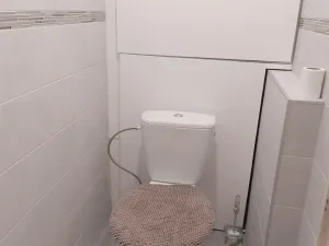 Pronájem bytu 2+kk, Mladá Boleslav, Jana Palacha, 44 m2