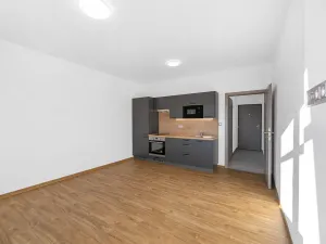 Pronájem bytu 1+kk, Plzeň - Severní Předměstí, Bolevecká, 27 m2