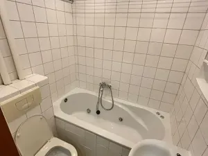 Pronájem bytu 1+kk, Ostrava, Sokolská třída, 21 m2