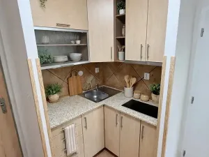 Pronájem bytu 2+kk, Praha - Bubeneč, Lotyšská, 44 m2