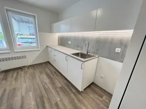 Pronájem bytu 1+kk, Brno, Hády, 18 m2