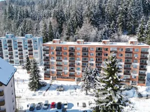 Prodej bytu 1+1, Jiřetín pod Bukovou, 41 m2