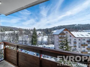 Prodej bytu 2+kk, Jiřetín pod Bukovou, 41 m2