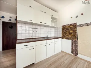Pronájem bytu 1+kk, Most, U Věžových domů, 22 m2