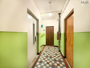 Pronájem bytu 1+kk, Most, U Věžových domů, 22 m2