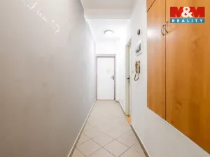 Pronájem bytu 1+kk, Plzeň - Východní Předměstí, Barrandova, 43 m2