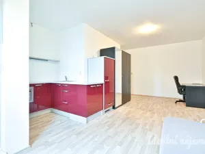 Pronájem bytu 1+kk, Brno - Zábrdovice, Stará, 32 m2