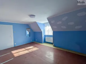 Prodej bytu 2+1, Litvínov - Horní Litvínov, Podkrušnohorská, 57 m2