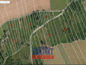 Prodej lesa, Letiny - Svárkov, 12818 m2