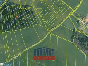 Prodej lesa, Letiny - Svárkov, 12818 m2