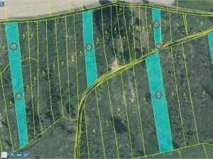 Prodej lesa, Letiny - Svárkov, 10142 m2