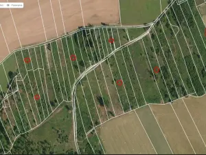 Prodej lesa, Letiny - Svárkov, 10142 m2