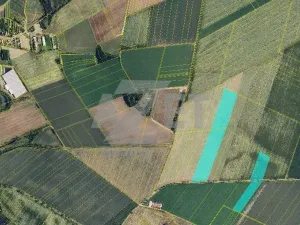 Prodej pole, Smržice, Prostějovská, 108222 m2