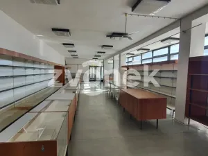 Pronájem obchodního prostoru, Polešovice, 320 m2