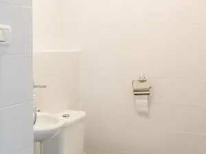 Pronájem bytu 3+kk, Praha - Dejvice, Paťanka, 82 m2