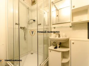 Pronájem bytu 1+1, Zlín, Větrná, 44 m2