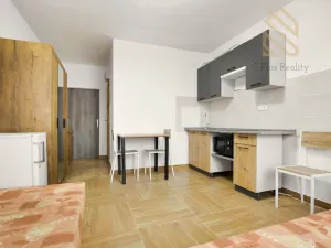 Pronájem bytu 1+kk, Ústí nad Labem - Ústí nad Labem-centrum, Čajkovského, 15 m2