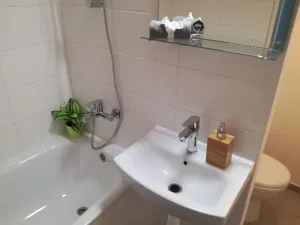 Prodej bytu 2+1, Ostrava - Zábřeh, Tarnavova, 45 m2