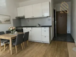 Pronájem bytu 1+1, Louny, Petra Obrovce, 35 m2