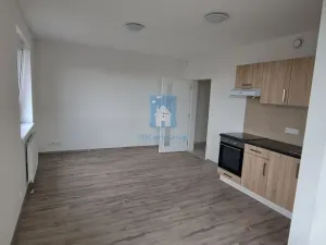 Pronájem bytu 1+kk, Plzeň, Železniční, 43 m2