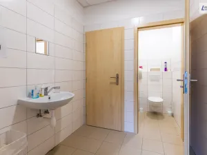 Pronájem výrobních prostor, Příbram - Příbram I, Dělostřelecká, 2099 m2