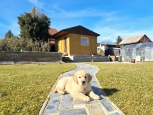 Prodej chaty, Příbram, 21 m2