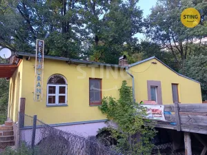 Prodej komerční nemovitosti, Vranovská Ves, 100 m2