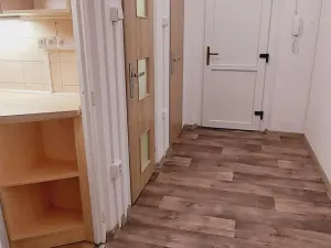 Pronájem bytu 1+kk, Valašské Meziříčí - Krásno nad Bečvou, Zašovská, 24 m2